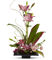 Imagination Blooms from Martinsville Florist, flower shop in Martinsville, NJ